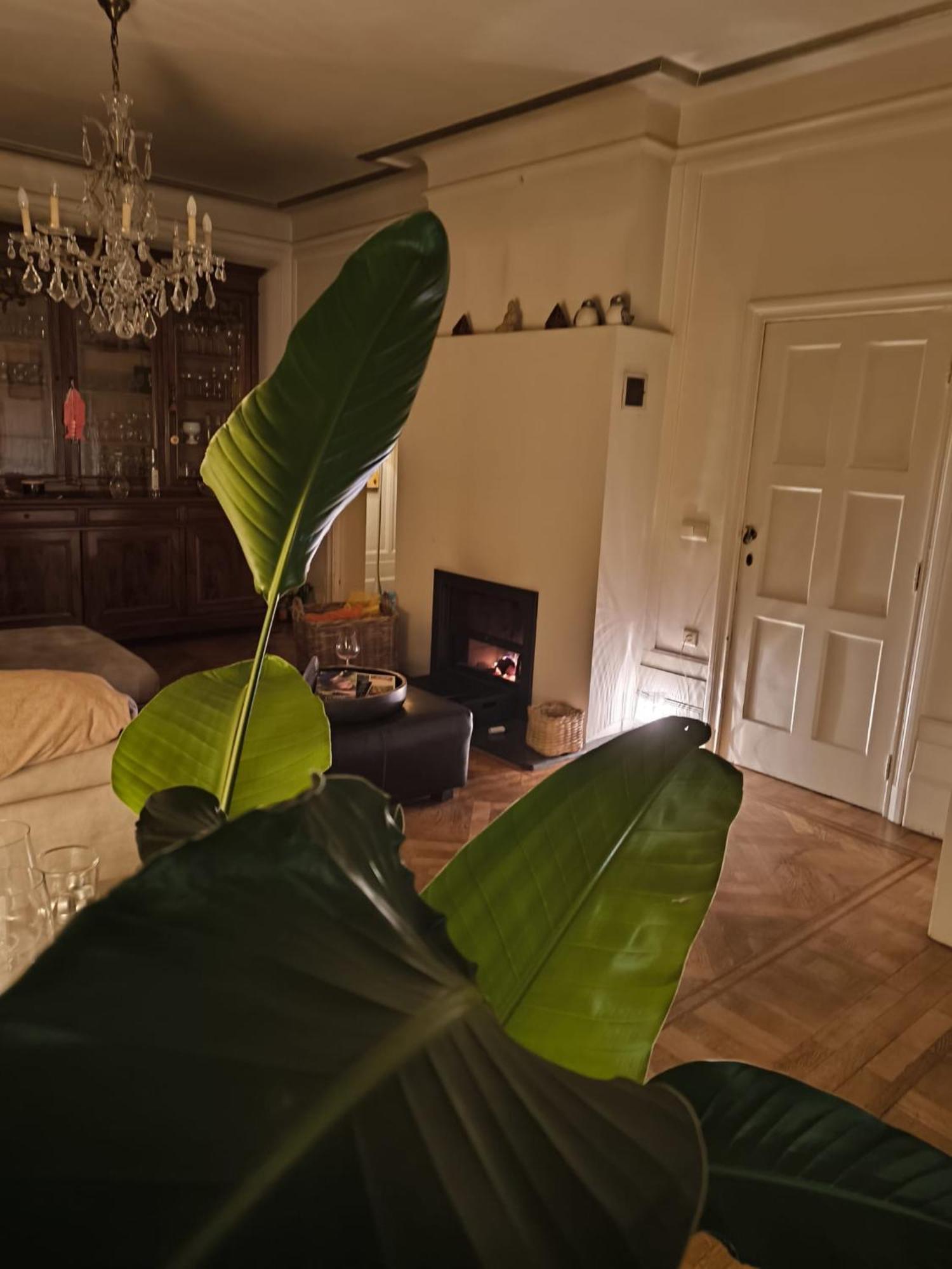 나무르 Le Castel Mosan 아파트 외부 사진